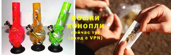 шишки Абинск